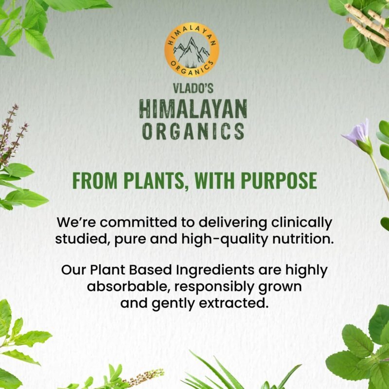 Vlado’s Himalayan Organics Plant-Based Vitamin A Supplement Supports Healthy Eye Sight | Natural Anti-Oxidant (120 Capsules) - Image 8