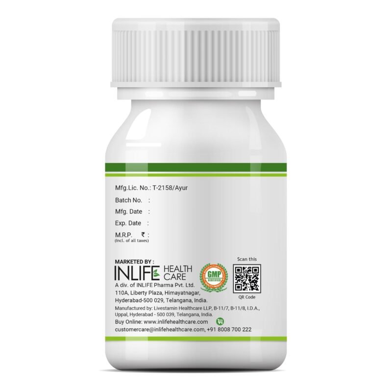 INLIFE Natural Vitamin C Amla Extract Supplement | Immunity, Overall Wellness for Men and Women - 60 Vegetarian Capsules (Pack of 1, 60) - Image 3
