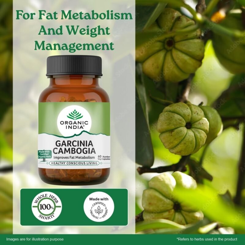 ORGANIC INDIA Garcinia Cambogia 60 Capsule || Improve Fat Metabolism || Weight-Loss Supplement || Immunity Booster - 60 Caps - Image 9
