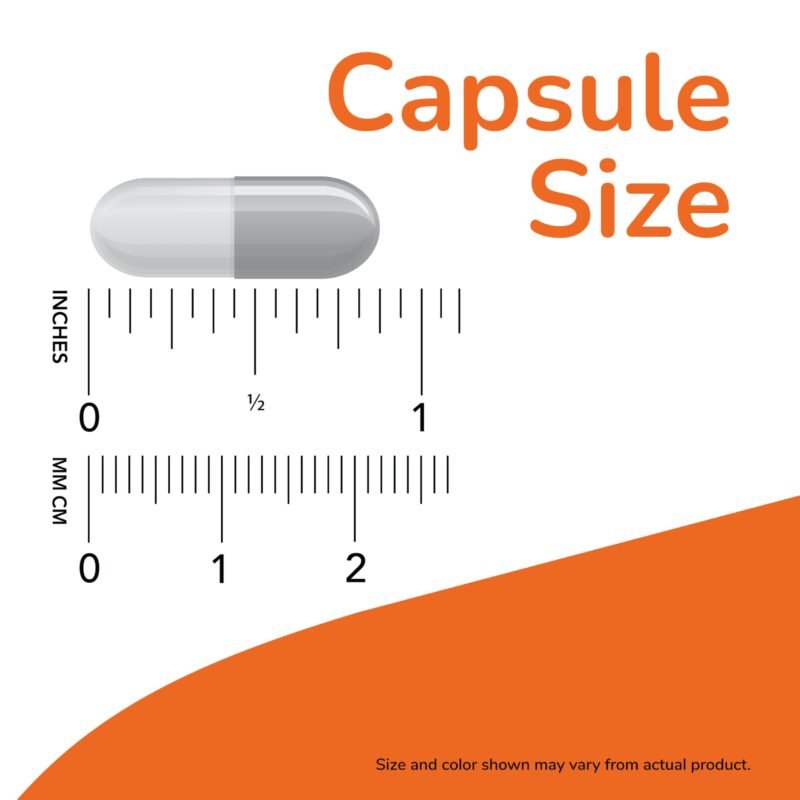 NOW Foods Gaba 750mg, Pack of 100 Vcaps - Image 6