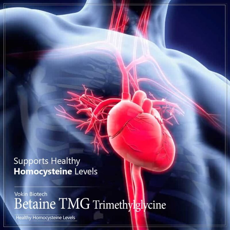 Vokin Biotech Betaine Trimethylglycine (TMG) for Support Healthy Homocysteine Levels (90 Capsules) - Image 5
