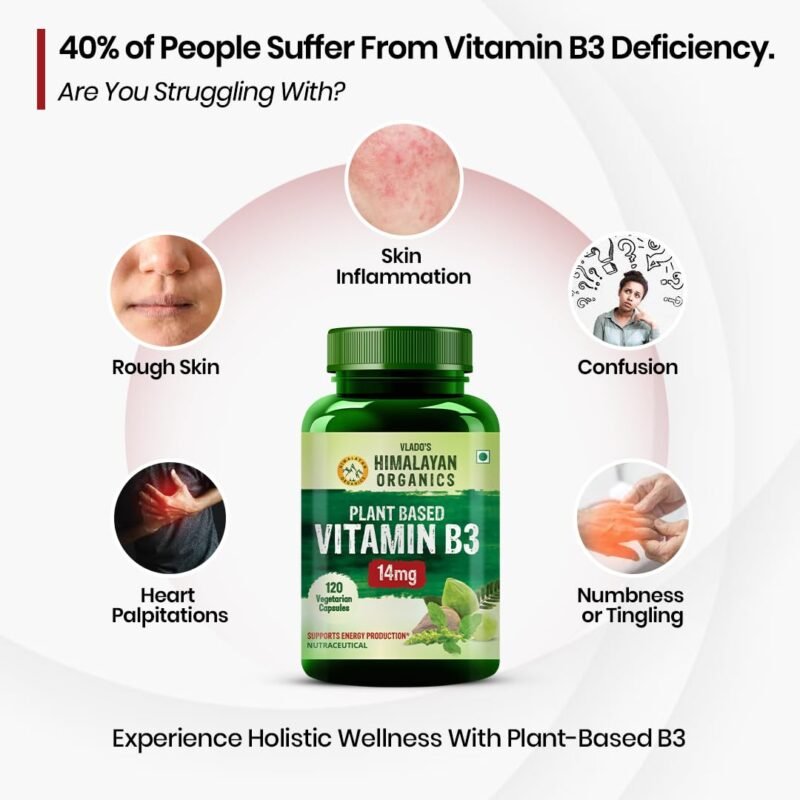Vlado's Himalayan Organics Plant-Based Vitamin B3 | Supports Healthy Skin and Heart 120 Capsules - Image 8