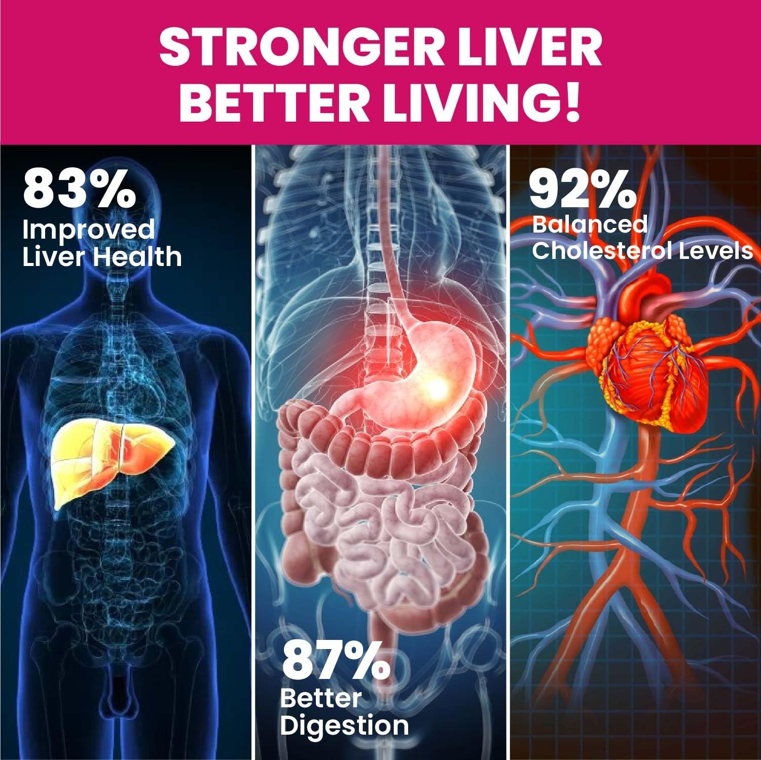 Vlado's HIMALAYAN ORGANICS Milk Thistle Extract With 800Mg Of Silybum Marianum Detox Supplement For Men And Women For Healthy Liver | Boost Metabolism And Maintain Cholesterol level - 60 Vegetarian Capsules - Image 4