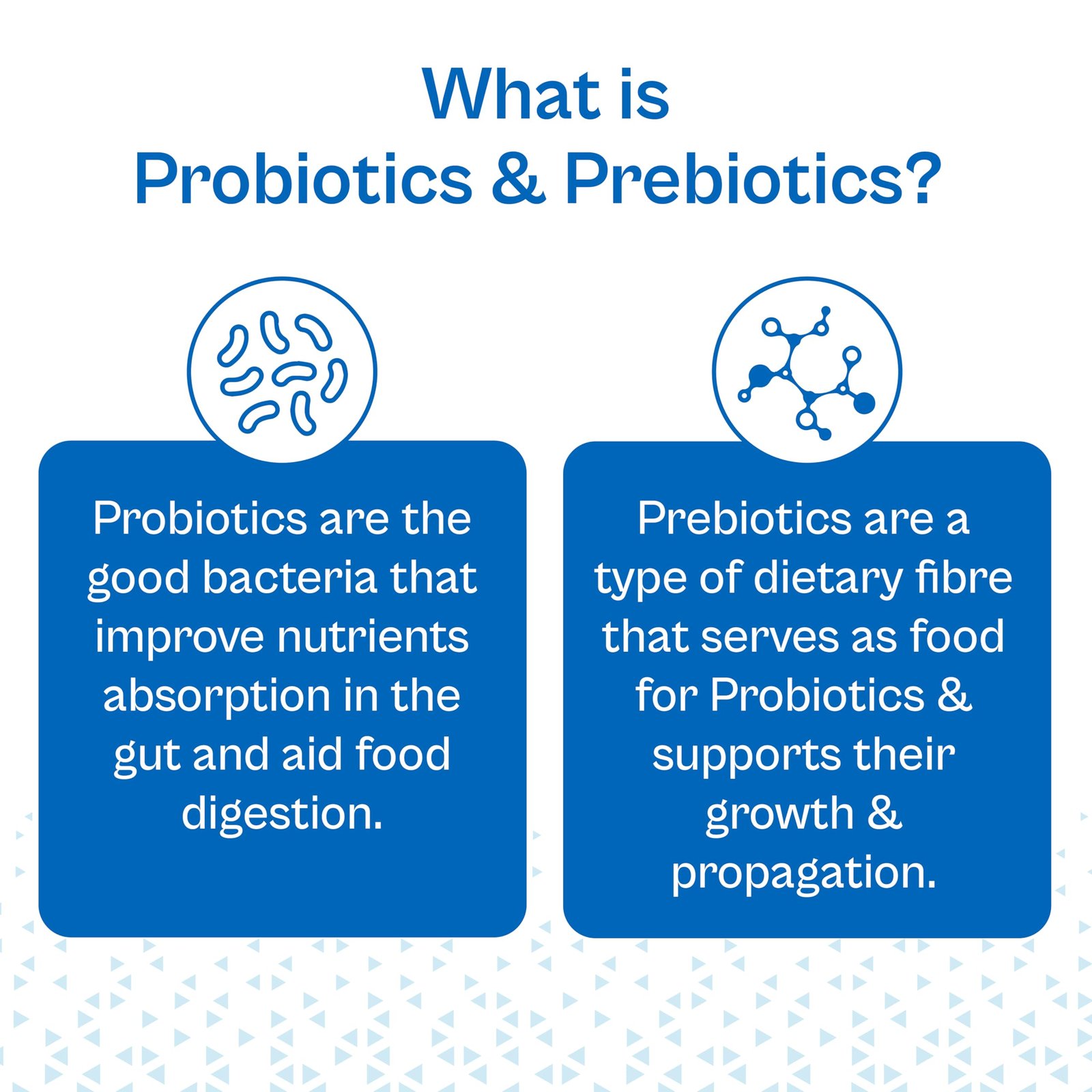 Tata 1mg Probiotics 30 Billion CFUs+ Capsules with Prebiotic Fiber- 60 Count | Gut Health & Digestion Support Supplement | For Men & Women - Image 4
